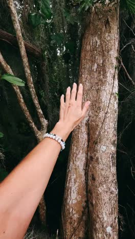 touching nature in a swamp forest