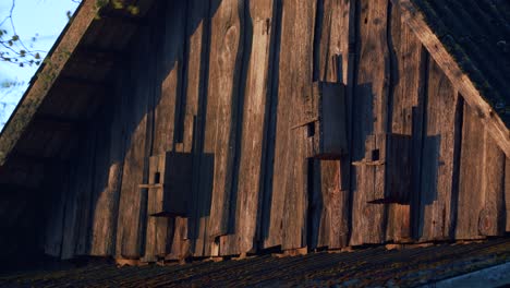 abandoned old rustic bird houses on old wooden vintage barn wall in sunset dramatic light