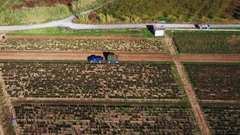 ギリシャの農場の畑でトレーラーで植物を輸送するトラックの空中トップダウン