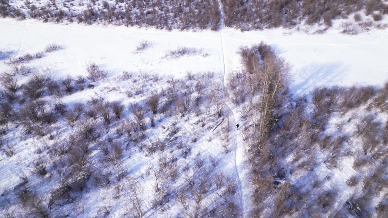 화창한 날 눈 덮인 숲의 겨울 길을 따라 걷는 사람의 머리 위로 공중 드론이 날아간다