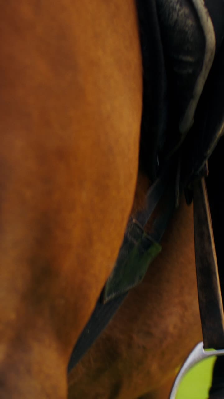 Horse and Rider with Stirrups