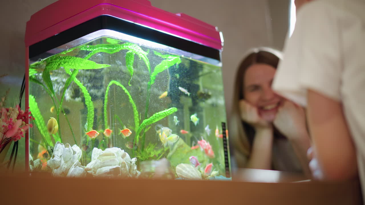 Smiling woman and child watch colorful tropical fish swim in illuminated aquarium with green plants and white stones inside cozy home interior, enjoying relaxing family moment near vibrant tank with pink lid