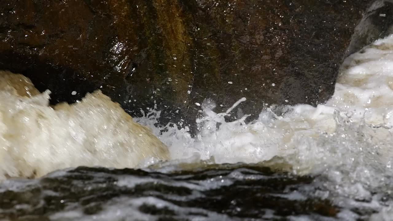 Multiple atlantic salmon leaping up a waterfall hitting the rocks on their struggle upstream. Tripod slow motion