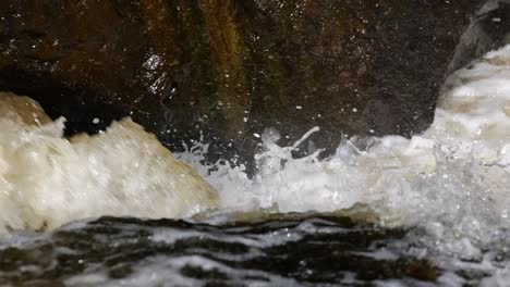 multiple atlantic salmon leaping up a waterfall hitting the rocks on their struggle upstream. tripod slow motion