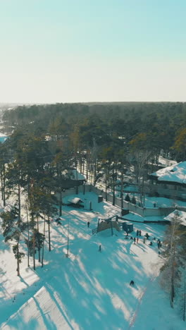 hotel building of ski resort and wide snowy track on hill slope covered with pines under clear sky upper view