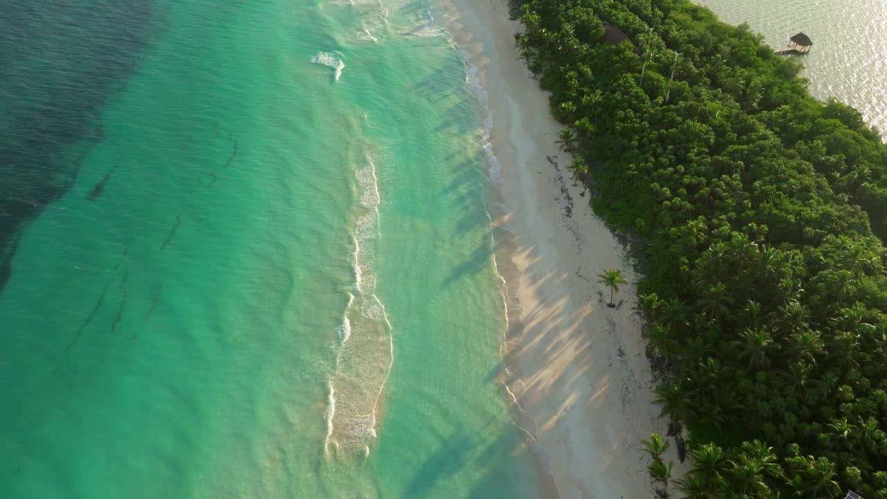 Vertical beach coastline in Tulum Mexico, Aerial drone summer vibes landscape at Natural Biosphere Reserve