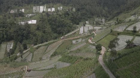 aerial-view,-jeep-tour-passing-through-mountains-in-vegetable-fields-in-Tawangmangu,-Indonesia