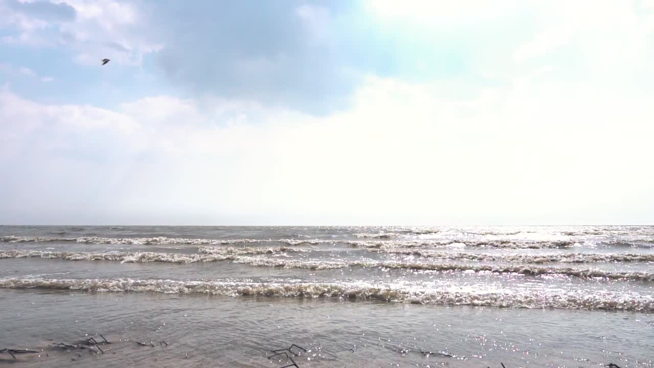 구름 과 새 들 이 있는 바다 해변 장면