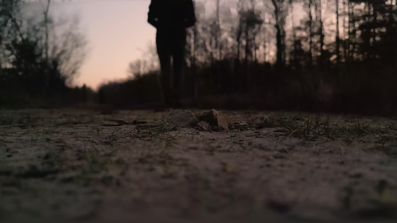 Persona che cammina in un bosco al crepuscolo