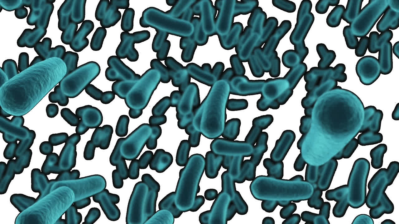 3 palabras elementos de virus alfa escritos sobre las células del coronavirus que se propagan en el fondo.