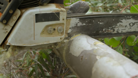 leñador con motosierra cortando el tronco del árbol 4k