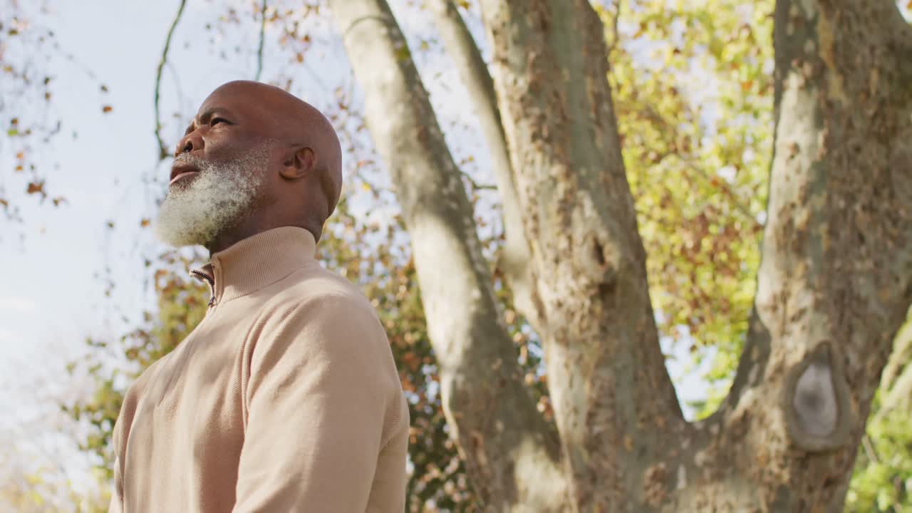 Video of thoughtful senior african american man contemplating in garden