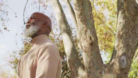 video de un anciano afroamericano pensativo contemplando en el jardín