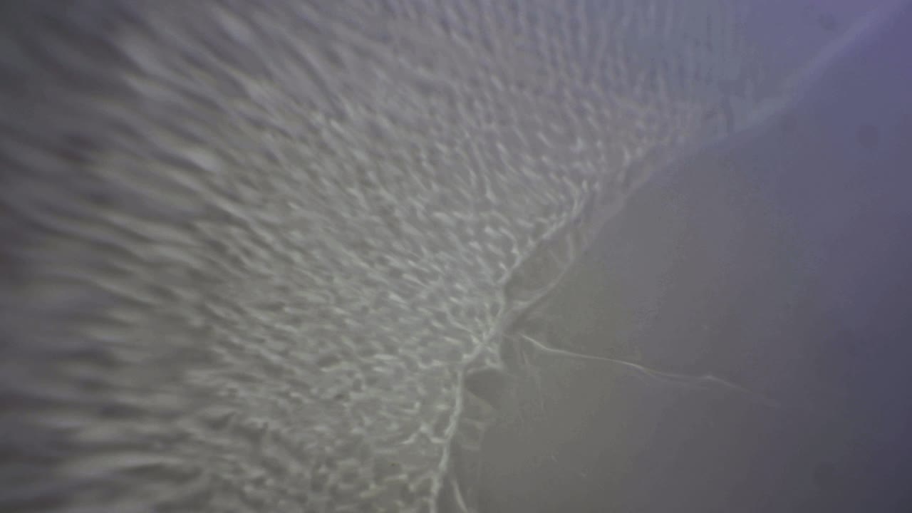 reacción fluida de fondo de la textura de reflexión de la luz de la onda de agua blanca y negra