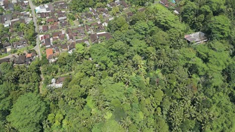 Toma-Aérea-De-Bali-Rural,-Ciudad-De-Gianyar