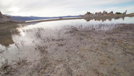 Cámara-Lenta-Ultra-Ancha-De-Moscas-En-El-Parque-Estatal-Mono-Lake