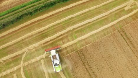 Drohnenaufnahmen-Von-Goldenen-Feldern-Und-Mähdrescher