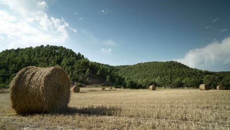 Harvest-Field-Timelapse-00