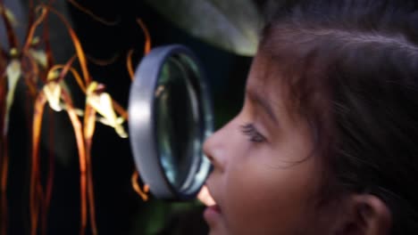 Second-grade-girl-exploring-and-discovering-nature's-garden,-watching-an-orchid-flower-with-a-magnifying-glass