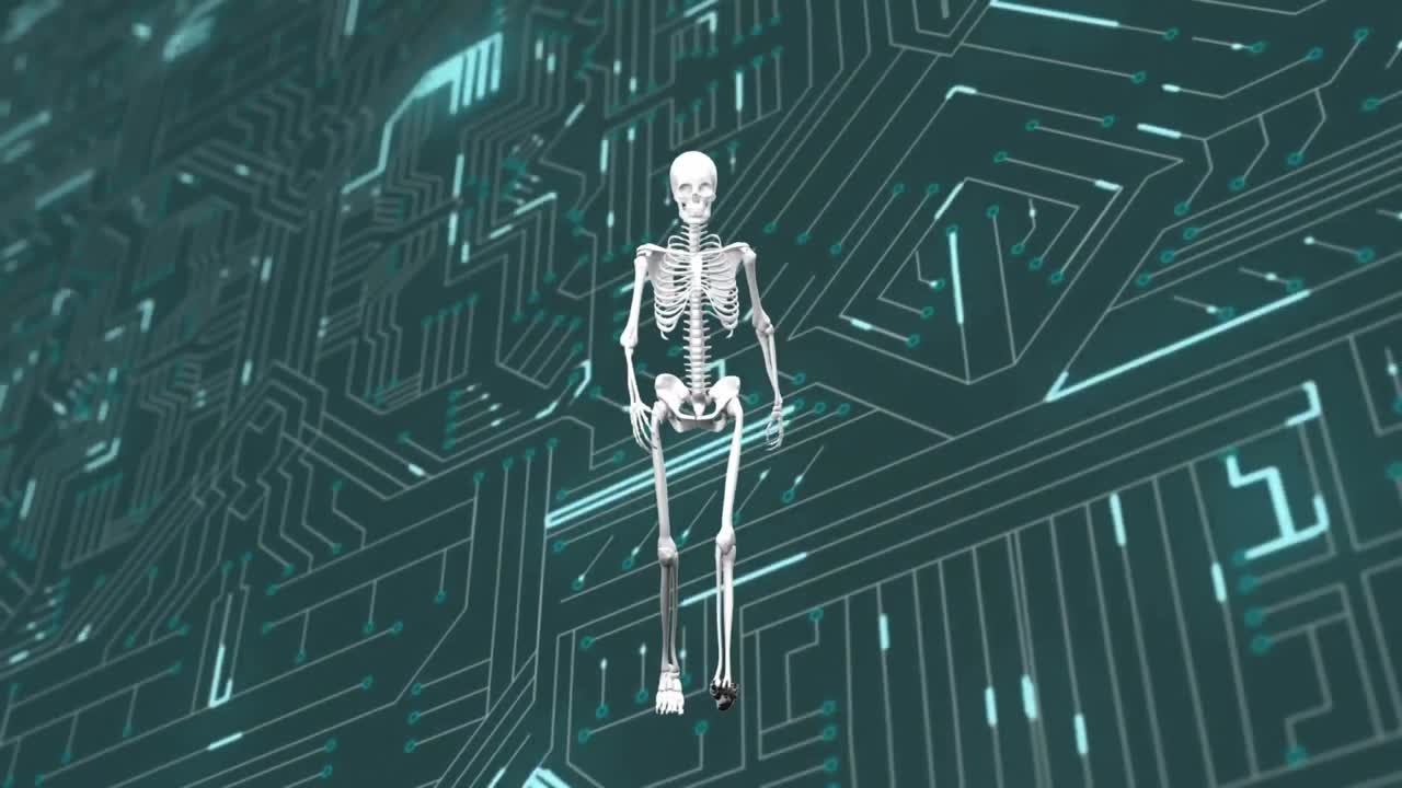 animación de un modelo humano y procesamiento de datos en una placa de circuitos