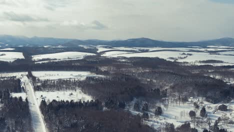 vuelo aéreo sobre el paisaje boscoso cubierto de nieve en hokkaido