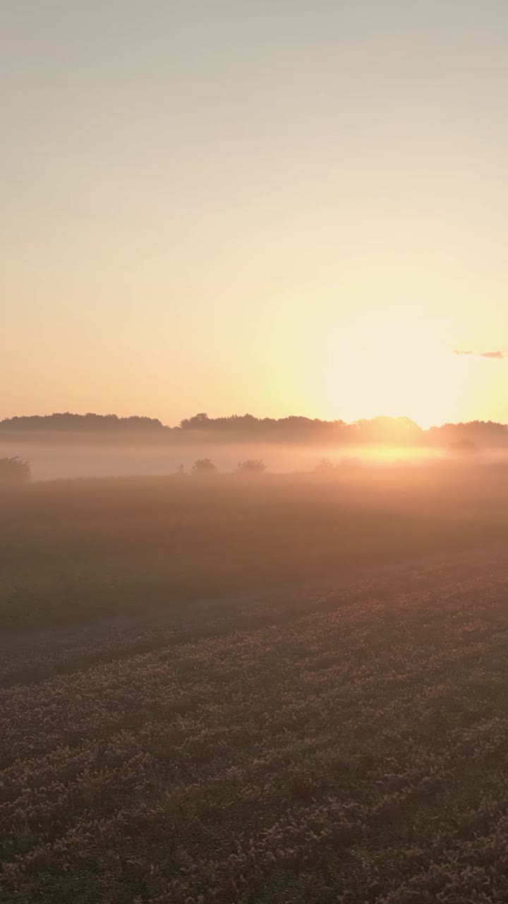 amanecer brumoso sobre las tierras de cultivo