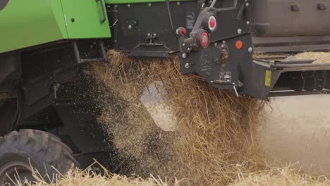 close up shot of combine harvest gathering crop of ripe wheat and throwing straw behind at daytime