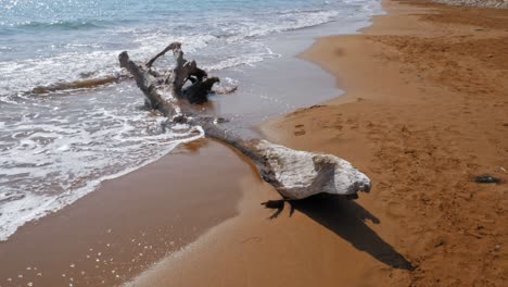 waves splashing on driftwood at sandy shoreline of megas lakkos beach in greece