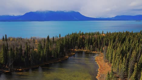 lakeside forest with cloudy mountains, atlin lake, british colombia