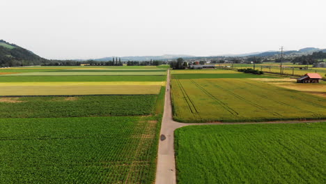 aerial of a cyclist in rural environment