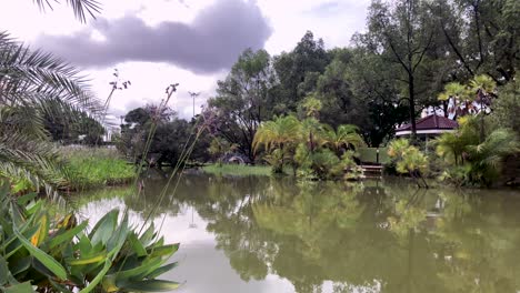 Toa-Payoh-Town-Park-in-a-sunny-day,-serenity-in-the-middle-of-the-city