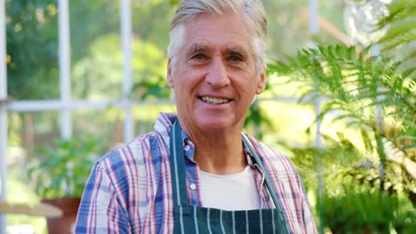 mature man checking plant