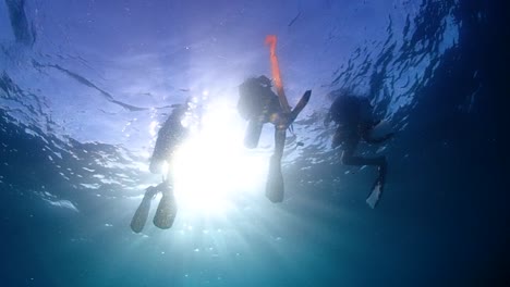 scuba divers floating on the surface like silhouettes with the sun shining in the background