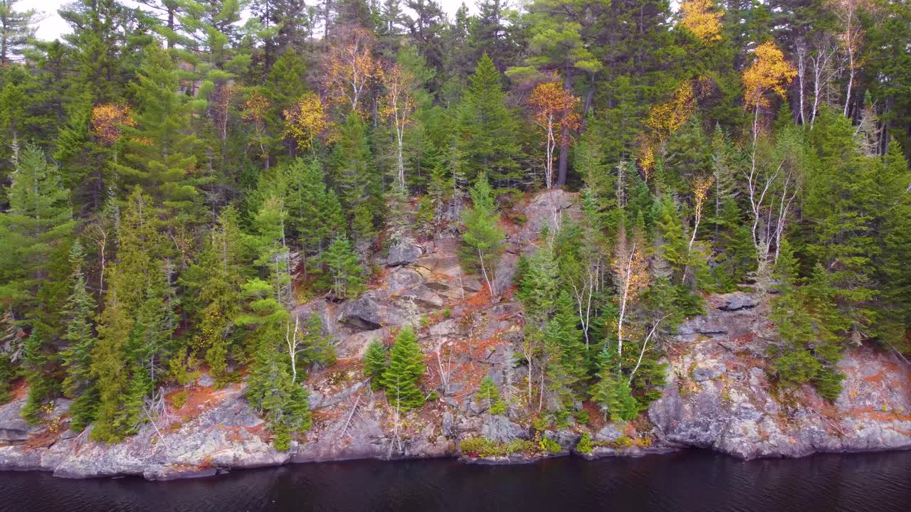 Drone View of Wasdell Falls Coastal Line with Pine Trees in Muskoka, Ontario, Canada