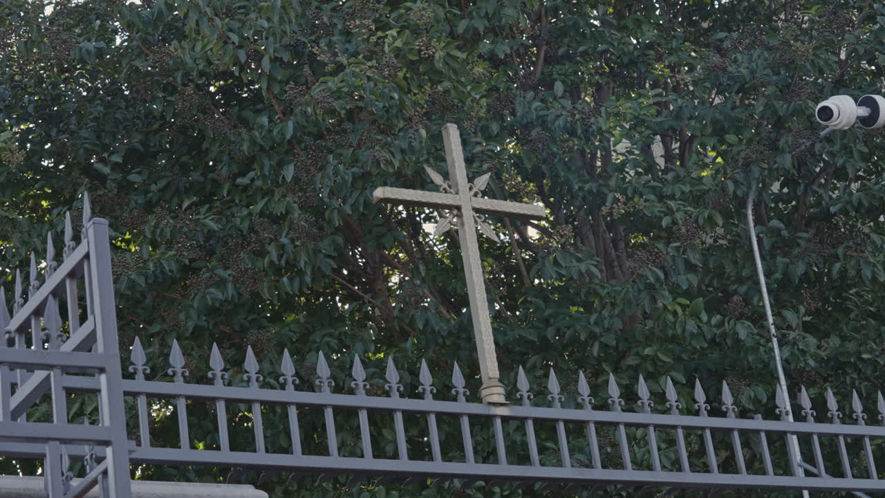 아침 시간에 길가 울타리의 정적 샷