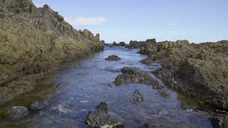 Princess-Bay,-Wellington,-Neuseeland