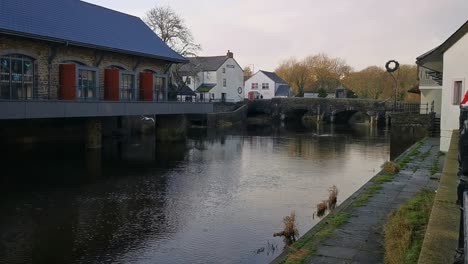 seagulls flying around a river flowing through a rural town centre, in haverfordwest, west wales