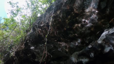 Mirando-Hacia-Rocas-Cavernosas-Que-Brillan-Desde-El-Reflejo-Del-Agua-Tropical-Con-Selva-Tropical-Sobre-El-Acantilado-Dentro-De-Un-Complejo-Ecológico-Con-Lagunas-Y-Vida-Silvestre-En-Riviera-Maya,-México