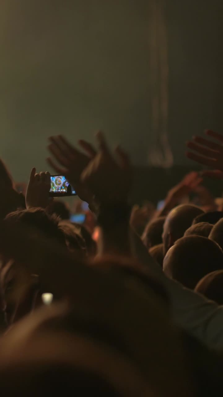 Concert Crowd