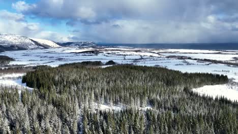 a cozy winter day in northern norway