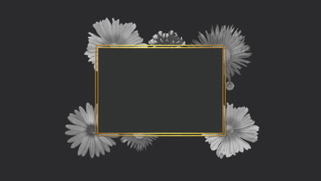 Weiße-Retro-Sommerblumen-Mit-Goldenem-Rahmen-Auf-Schwarzem-Farbverlauf