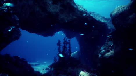 explorando una cueva mágica submarina