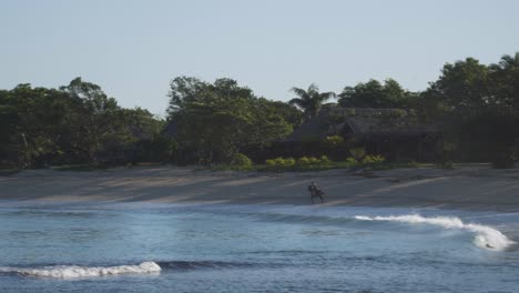 Horse-with-rider-on-back-going-at-full-speed-down-beach-in-Fiji,-tracking-shot