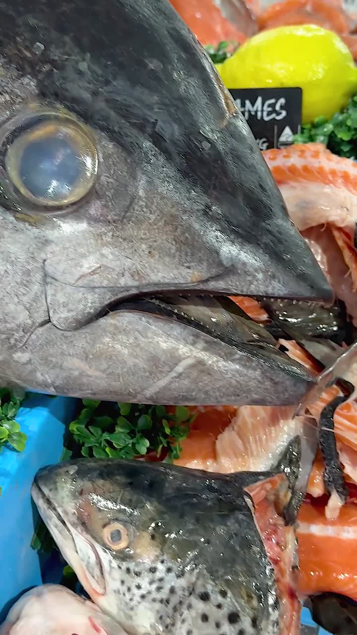 variedad de mariscos en exhibición en el mercado