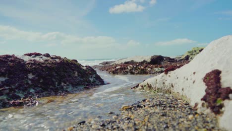 Natur-Meer-Ozean-Ufer-Steine-Felsen-Wellen-Wellen-Absturz-Pfütze-Sonniges-Tageslicht-Portugal-Nahaufnahme-Stetige-Aufnahme-4k