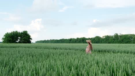 pregnant girl walking in a wheat field