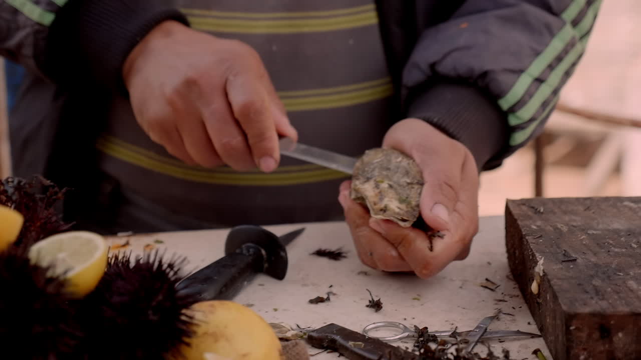 comerciante marroquí abriendo, preparando y sirviendo ostras frescas en la ciudad portuaria de essaouira marruecos