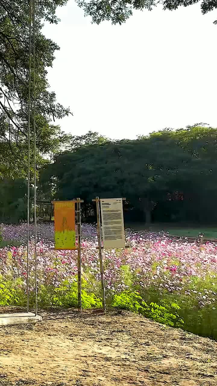 viaje en tranvía a través de campos y árboles