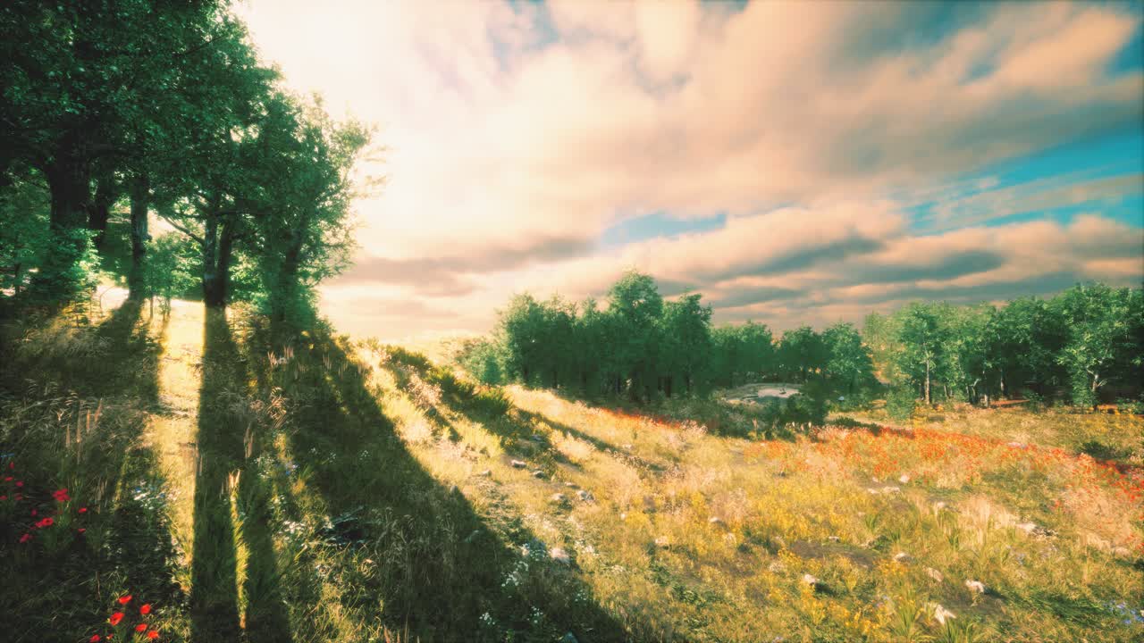 해가 지는 동안  ⁇  위에 무거운 비 구름