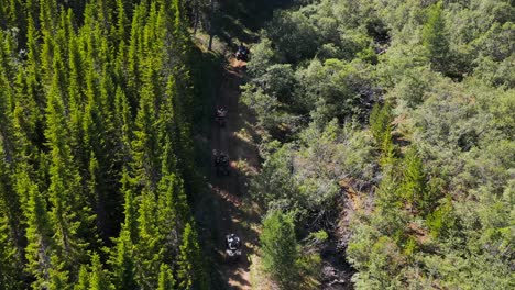 Group-of-people-on-quad-bikes-driving-through-green-forest,-aerial